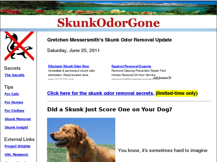 www.skunkodorgone.com