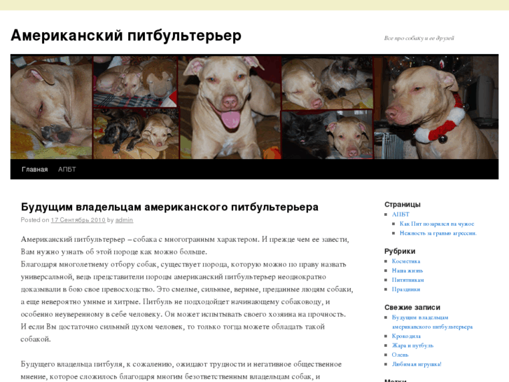 www.sunny-pitbull.com