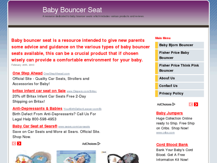 www.babybouncerseat.org