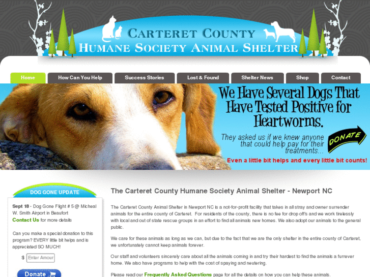 www.cchsshelter.com