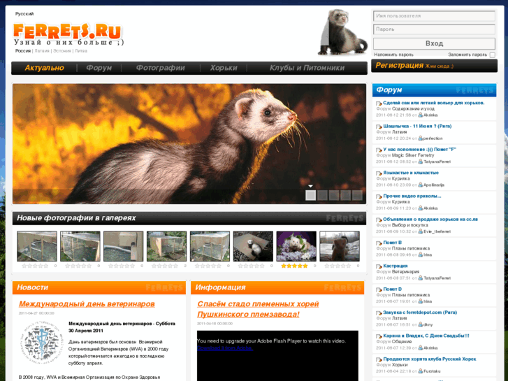 www.ferrets.ru