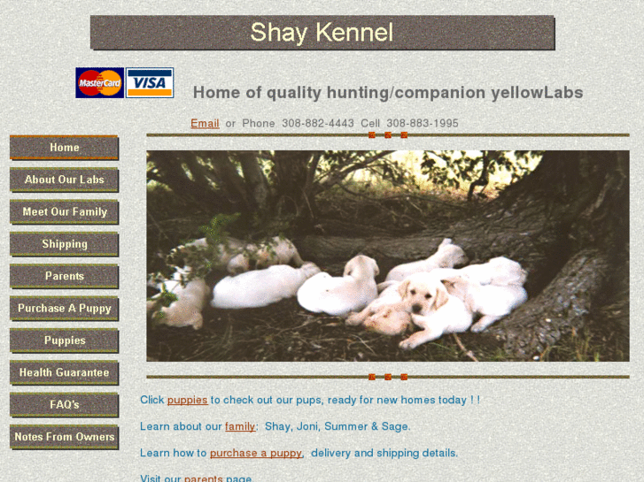 www.shaykennel.com