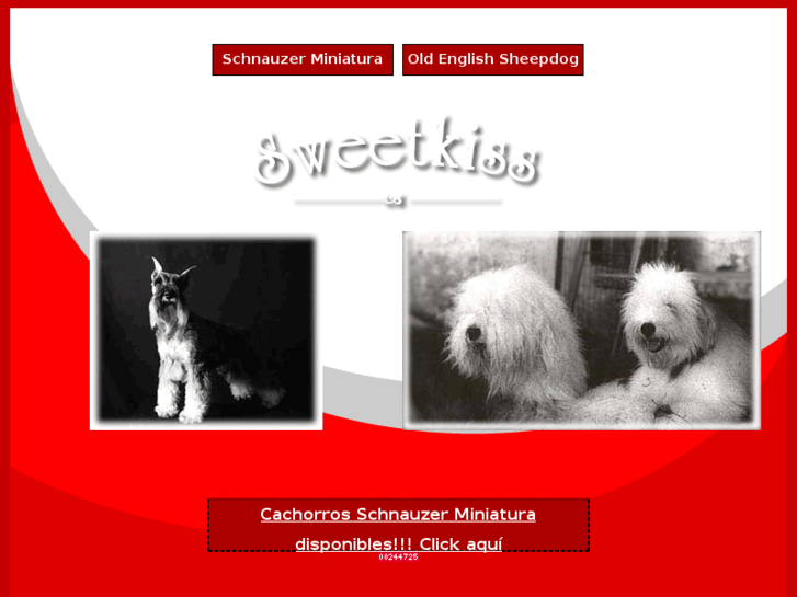 www.sweetkiss-kennel.com.ar