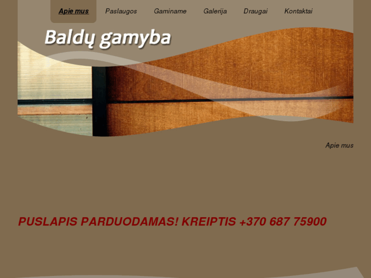 www.virtuvesbaldai.net