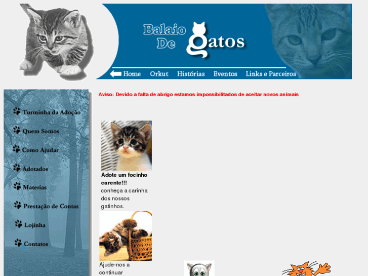 www.balaiodegatos.net