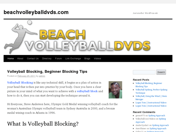 www.beachvolleyballdvds.com