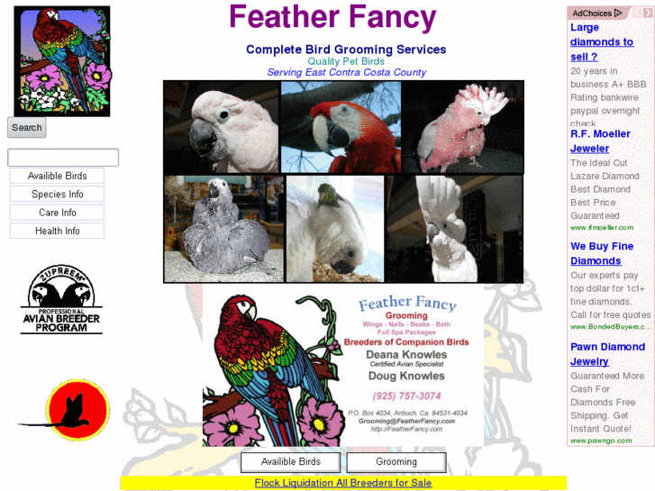 www.featherfancy.com