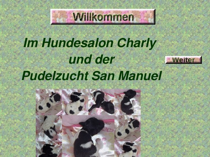 www.sanmanuel.de