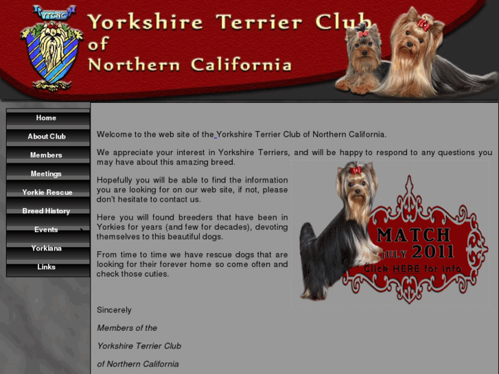 www.yorkshireterrierclubnc.org