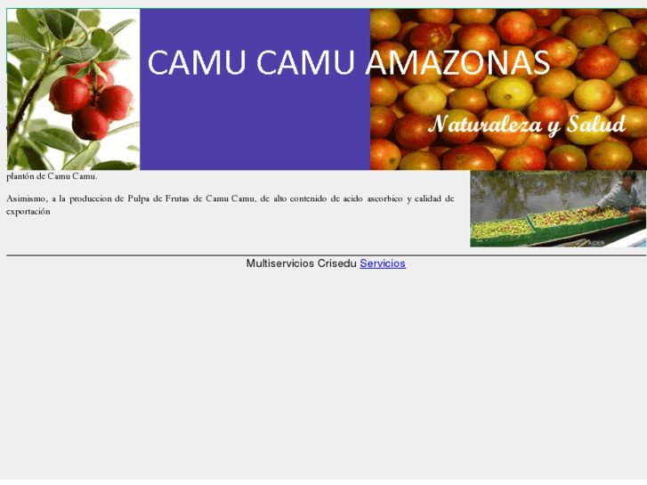 www.camucamuamazonas.com