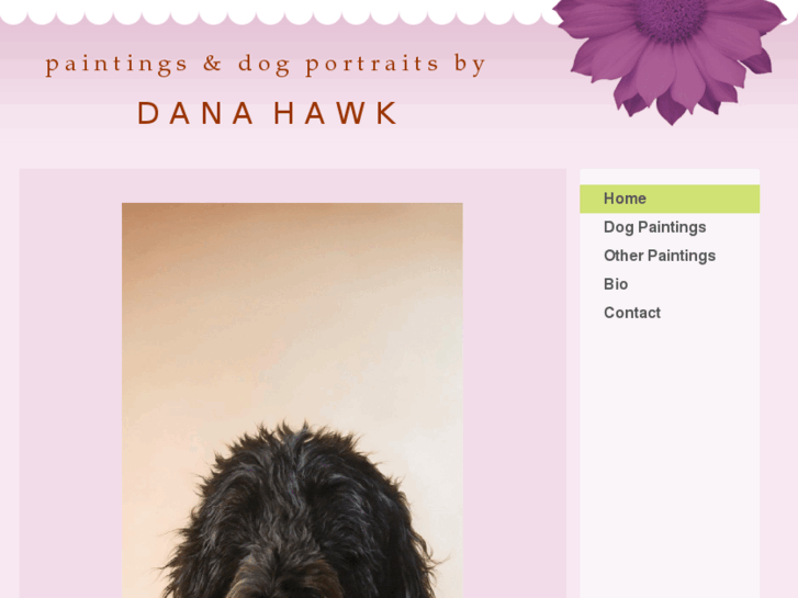 www.danahawk.com