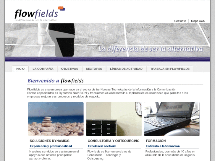 www.flowfields.es