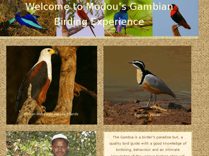 www.gambianbirds.com