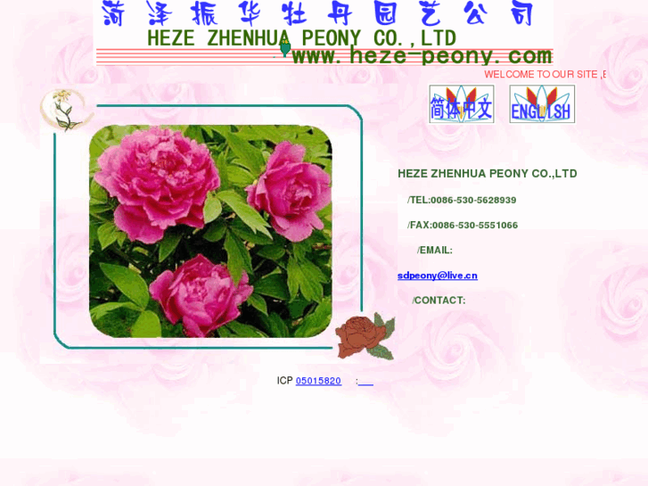 www.heze-peony.com