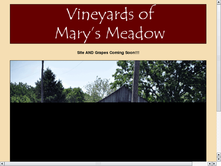 www.marys-meadow.com