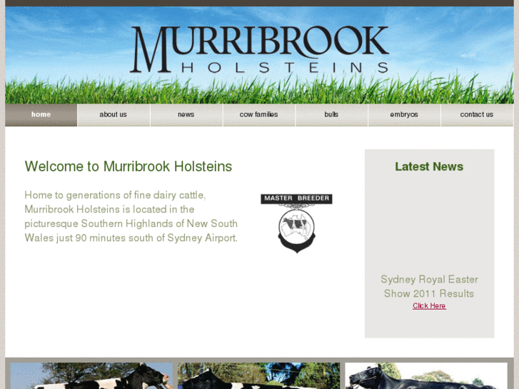 www.murribrook.com