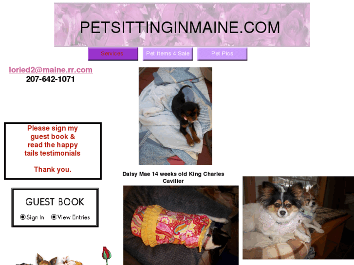 www.petsittinginmaine.com