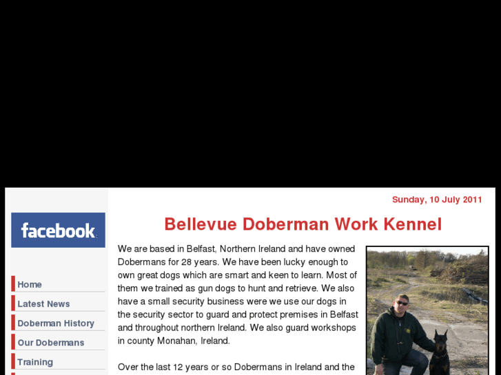 www.bellevuedobermankennel.com