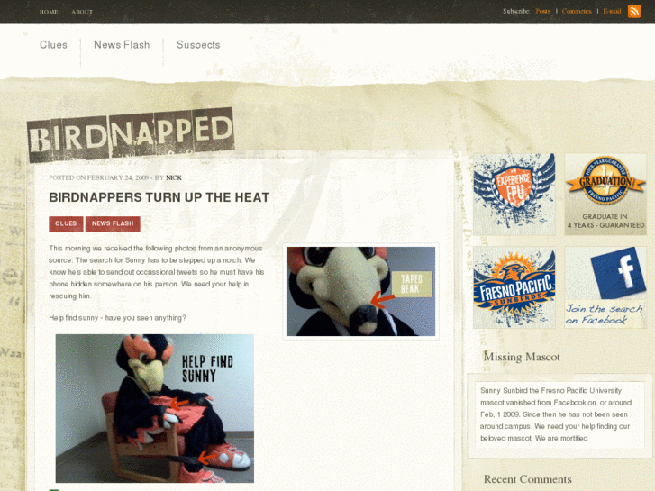 www.birdnapped.com