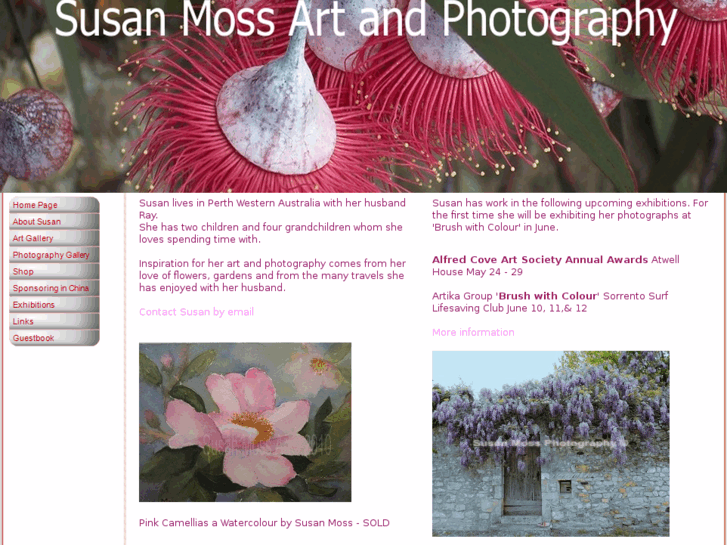 www.susanmossartandphotography.com