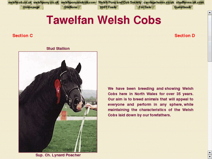 www.tawelfan.com