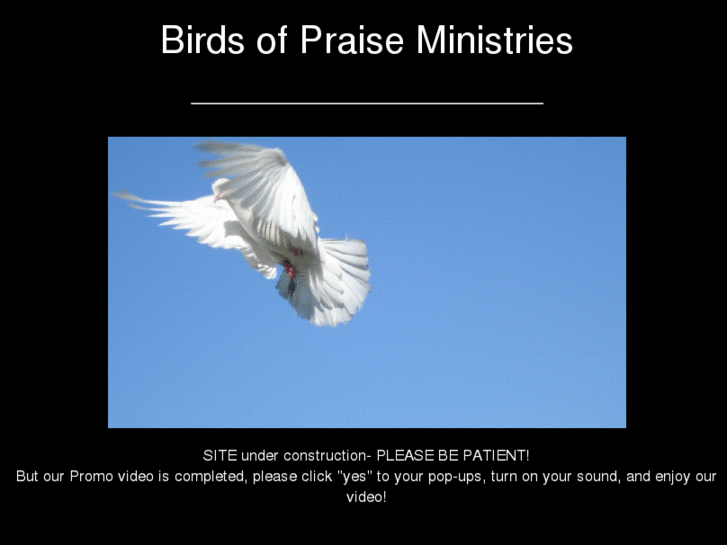 www.birdsofpraiseministries.com