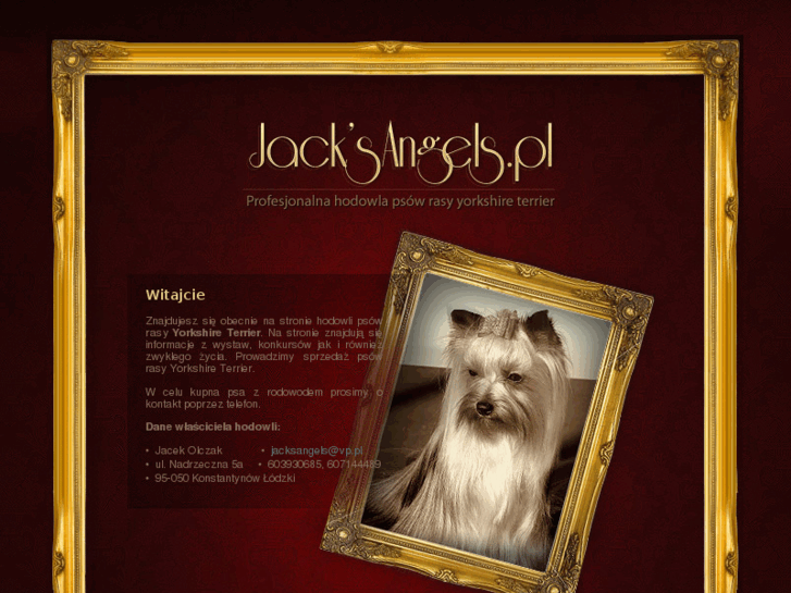 www.jacksangels.pl