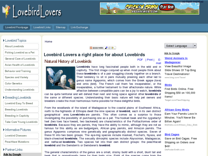 www.lovebirdlovers.com