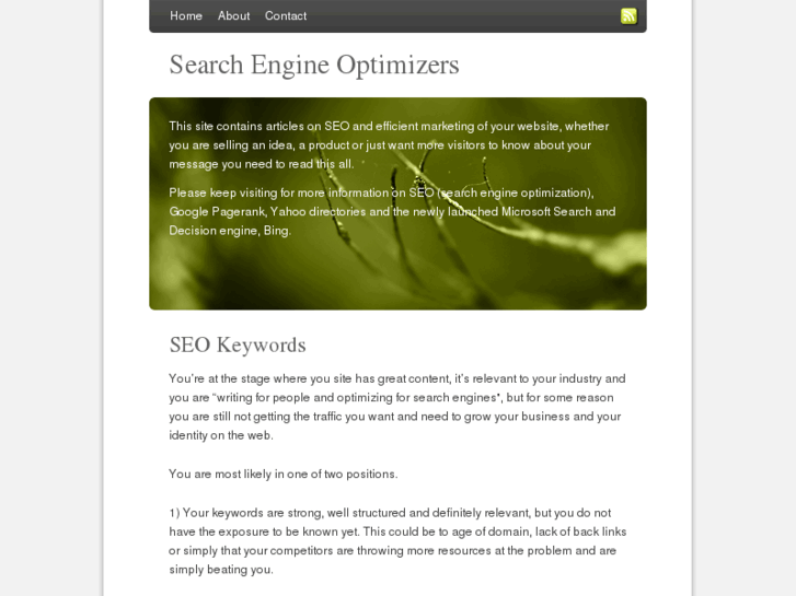 www.search-engine-optimizers.com