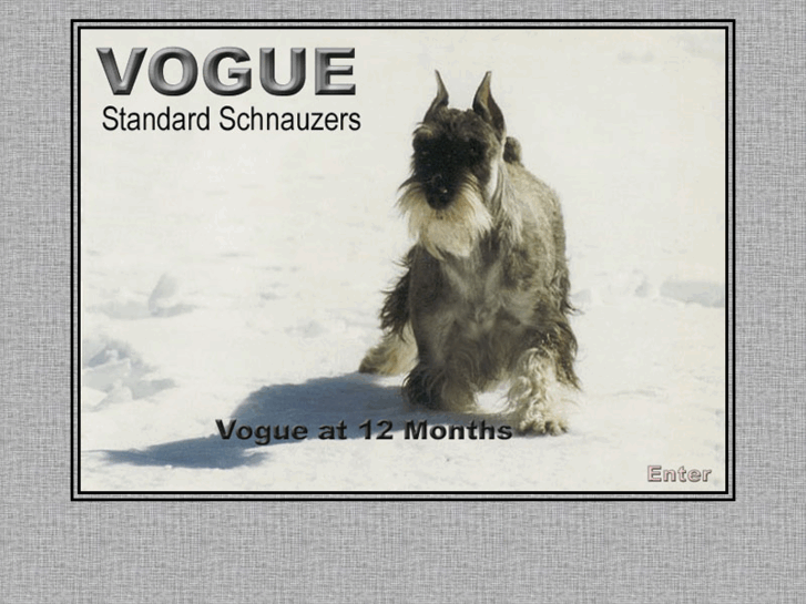 www.vogueschnauzers.com