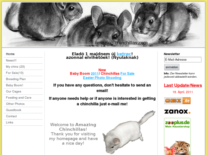 www.amazing-chinchillas.com