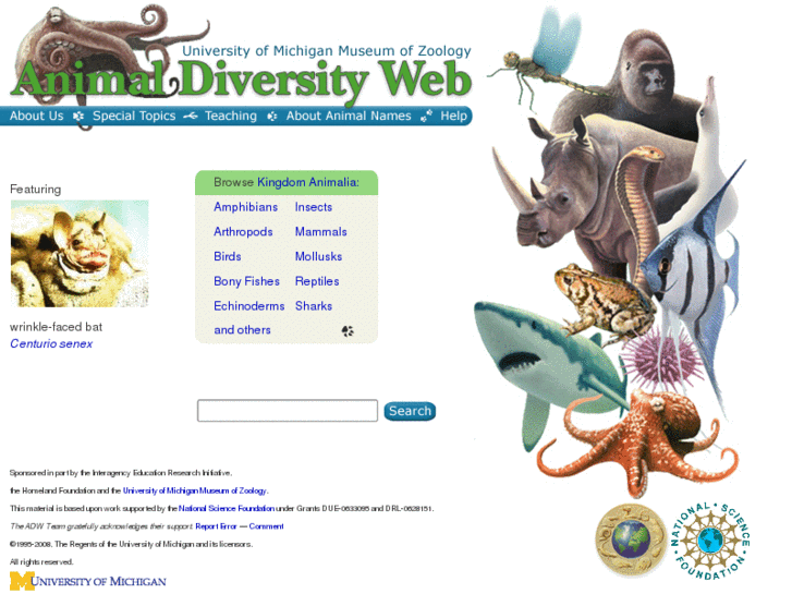 www.animaldiversity.org