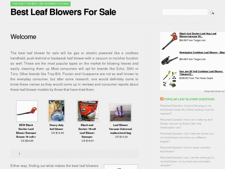 www.bestleafblowersale.com