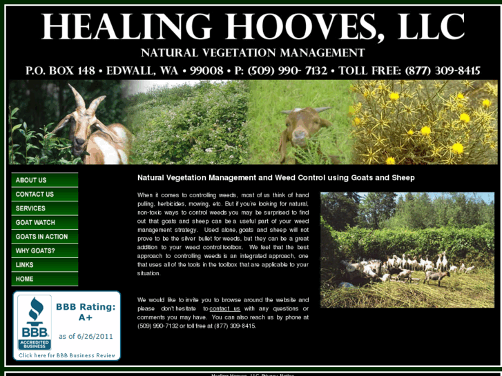 www.healinghooves.com