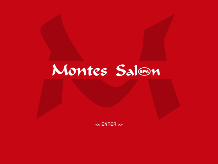 www.montessalon.com