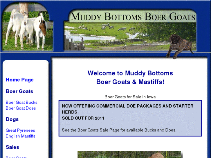 www.muddybottomsboergoats.com