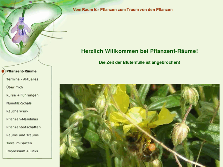 www.pflanzent-raeume.com