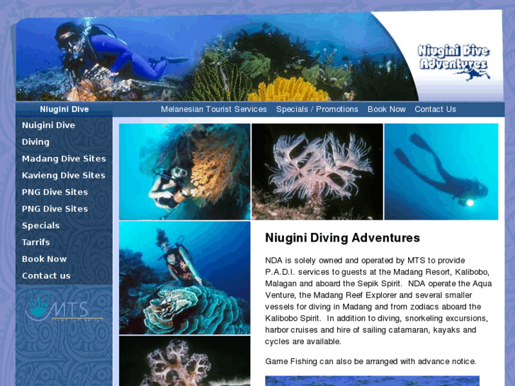 www.pngdiving.com