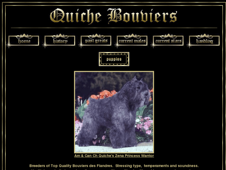 www.quichebouviers.com