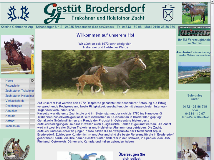 www.trakehnergestuet-brodersdorf.de