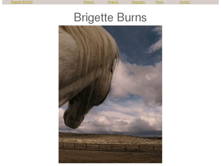 www.brigetteburns.com