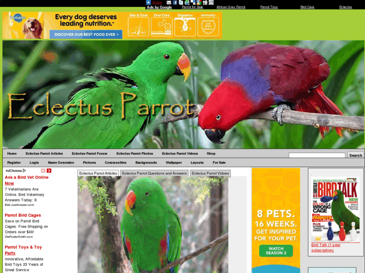 www.electus-parrot.com