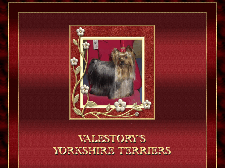 www.yorkshire-terrier-valestorys.com