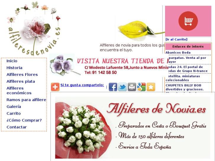 www.alfileresdenovia.es