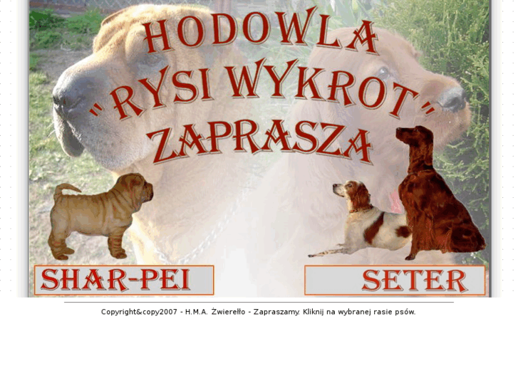 www.rysiwykrot.pl