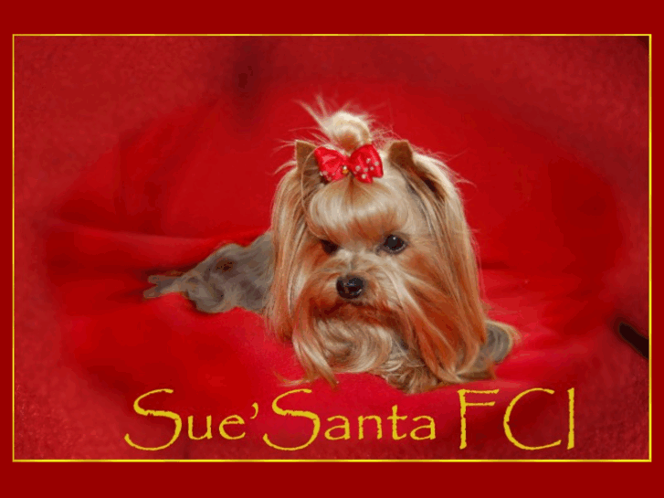 www.sue-santa.com