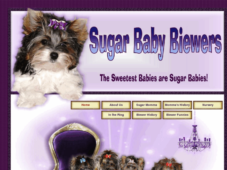 www.sugarbabybiewers.com