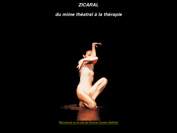 www.zicarai.com