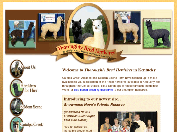 www.alpaca-herdsires.com