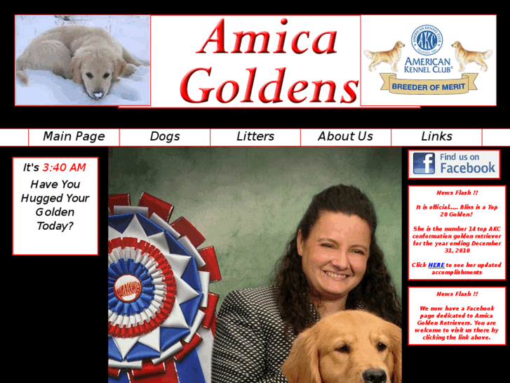 www.amicagoldens.com